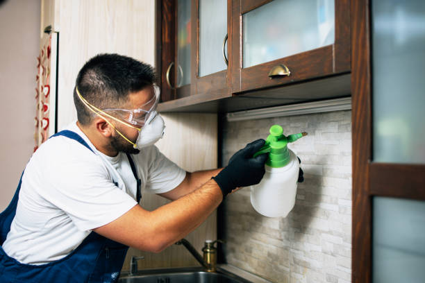 Pest Prevention Services in Dinuba, CA